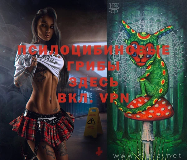СК Новозыбков