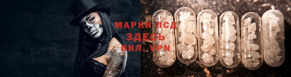 прущие грибы Армянск