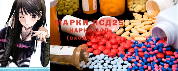 прущие грибы Армянск
