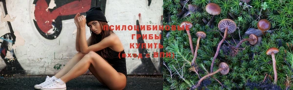 спайс Новодвинск